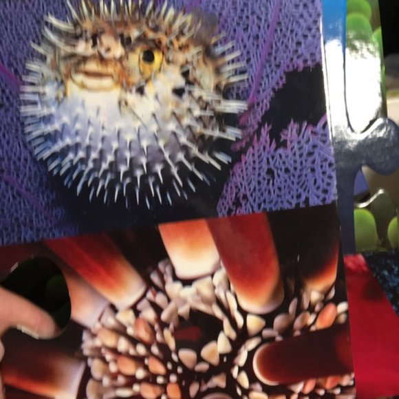 Giant Ocean Creatures Floor Puzzle - 26 Pieces - Interactive Learning - Picture 5 of 9